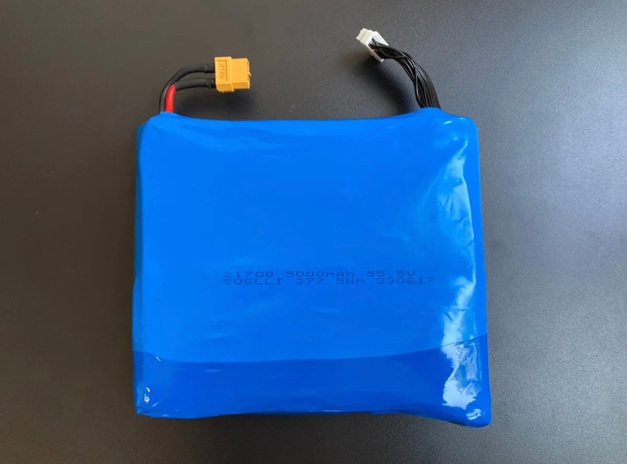 Nexus Refurbished One wheel Pint OEM Battery