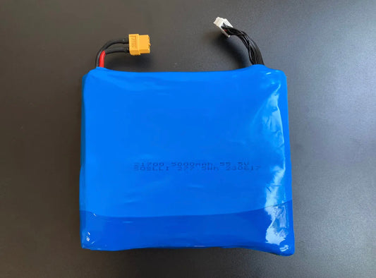 Nexus Refurbished One wheel Pint OEM Battery