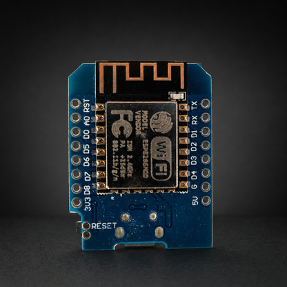 Owie chip on a black studio background